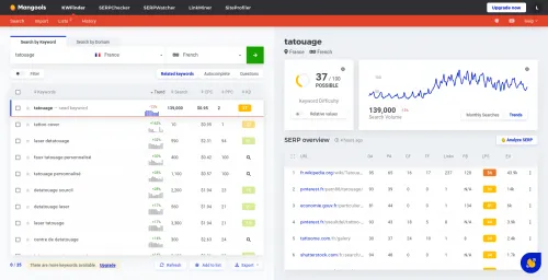 Interface d'un outil SEO avec graphiques et données de performance du site.